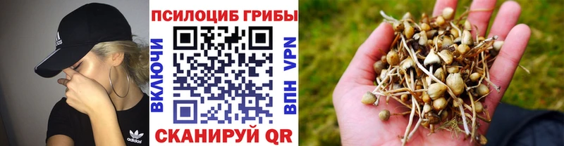 дарнет шоп  ОМГ ОМГ ТОР  Псилоцибиновые грибы MAGIC MUSHROOMS  Арск 